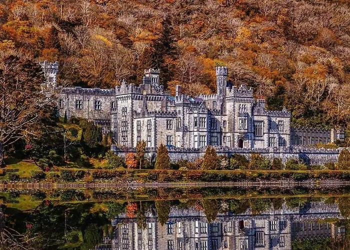 The School 3* Moyard